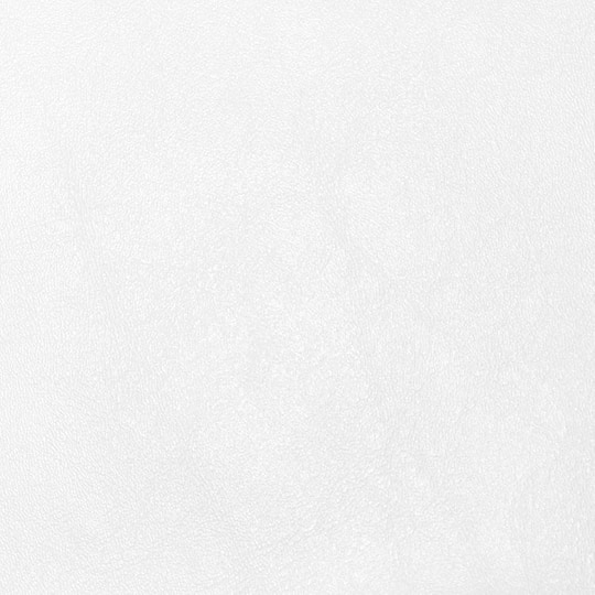 White Vinyl